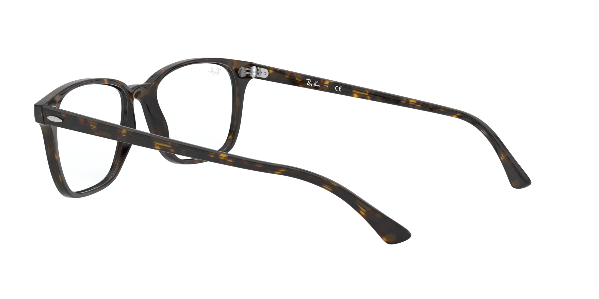 0RX7119_tortoise-2012_5.png