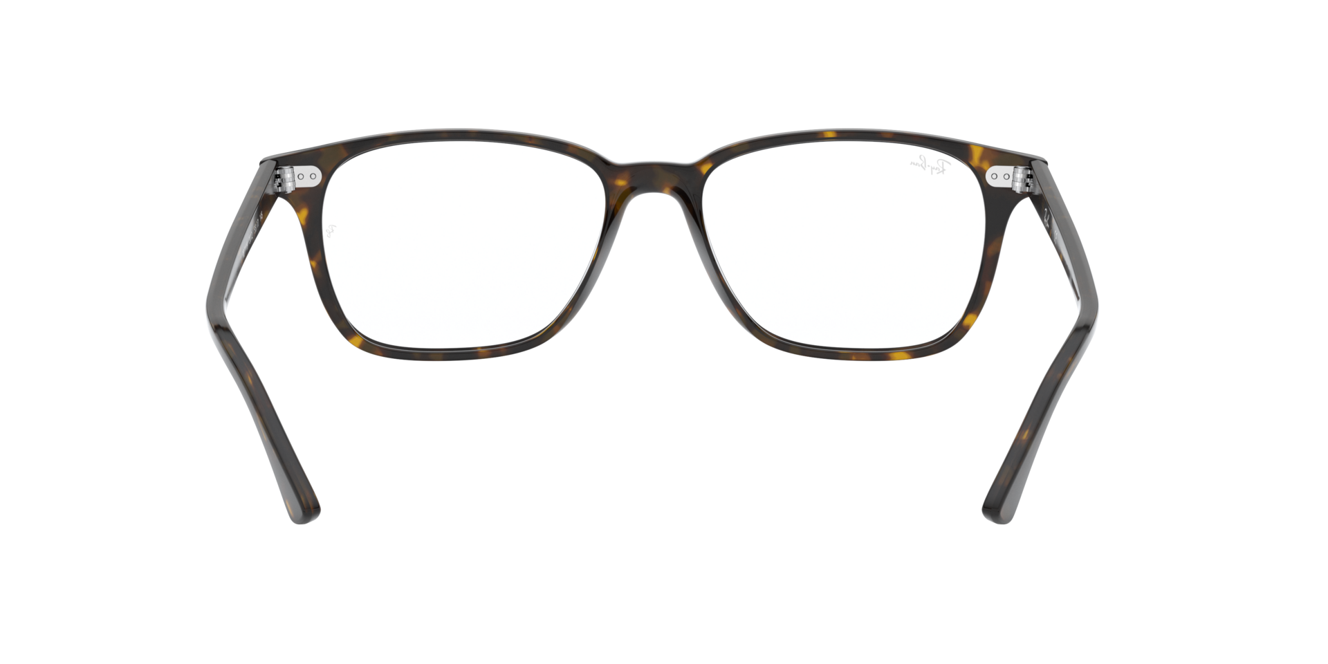 0RX7119_tortoise-2012_7.png
