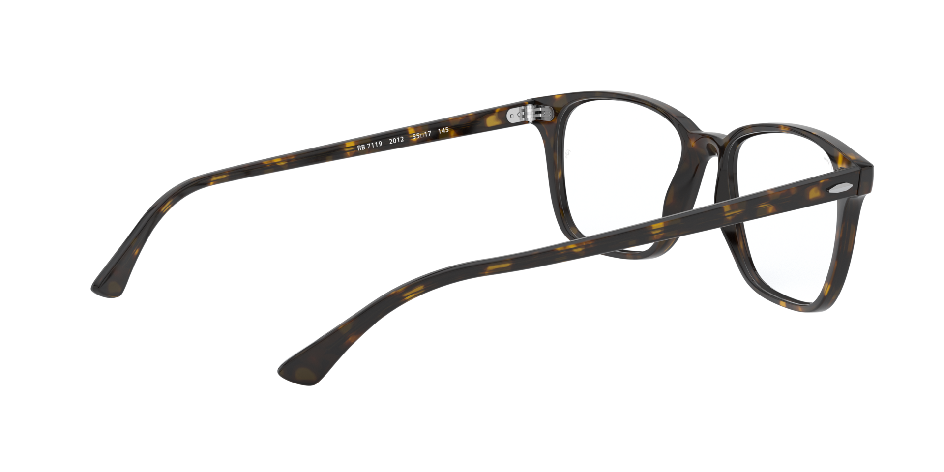 0RX7119_tortoise-2012_9.png