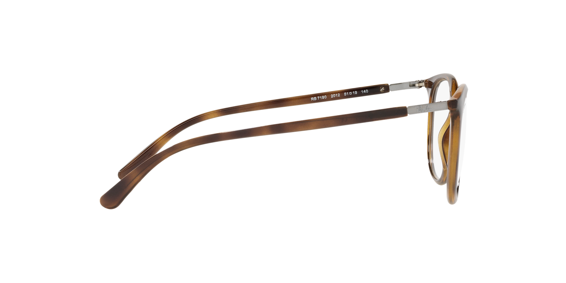 0RX7190_Tortoise-2012_10.png
