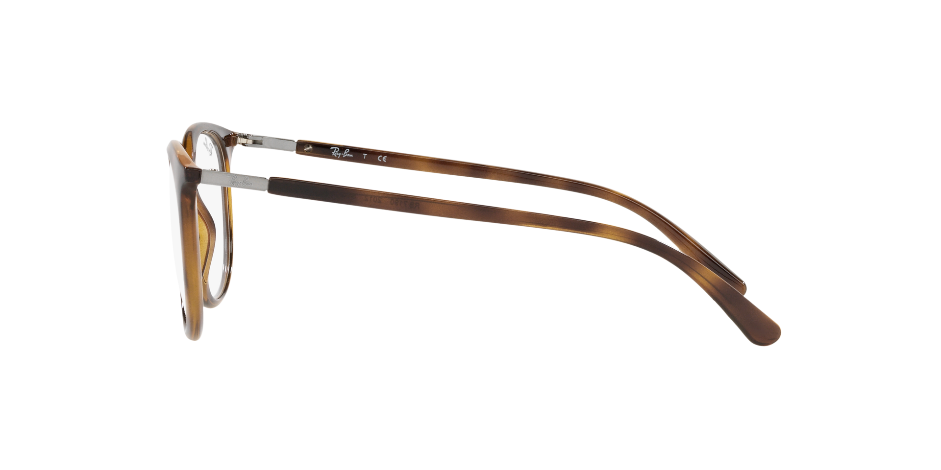 0RX7190_Tortoise-2012_4.png