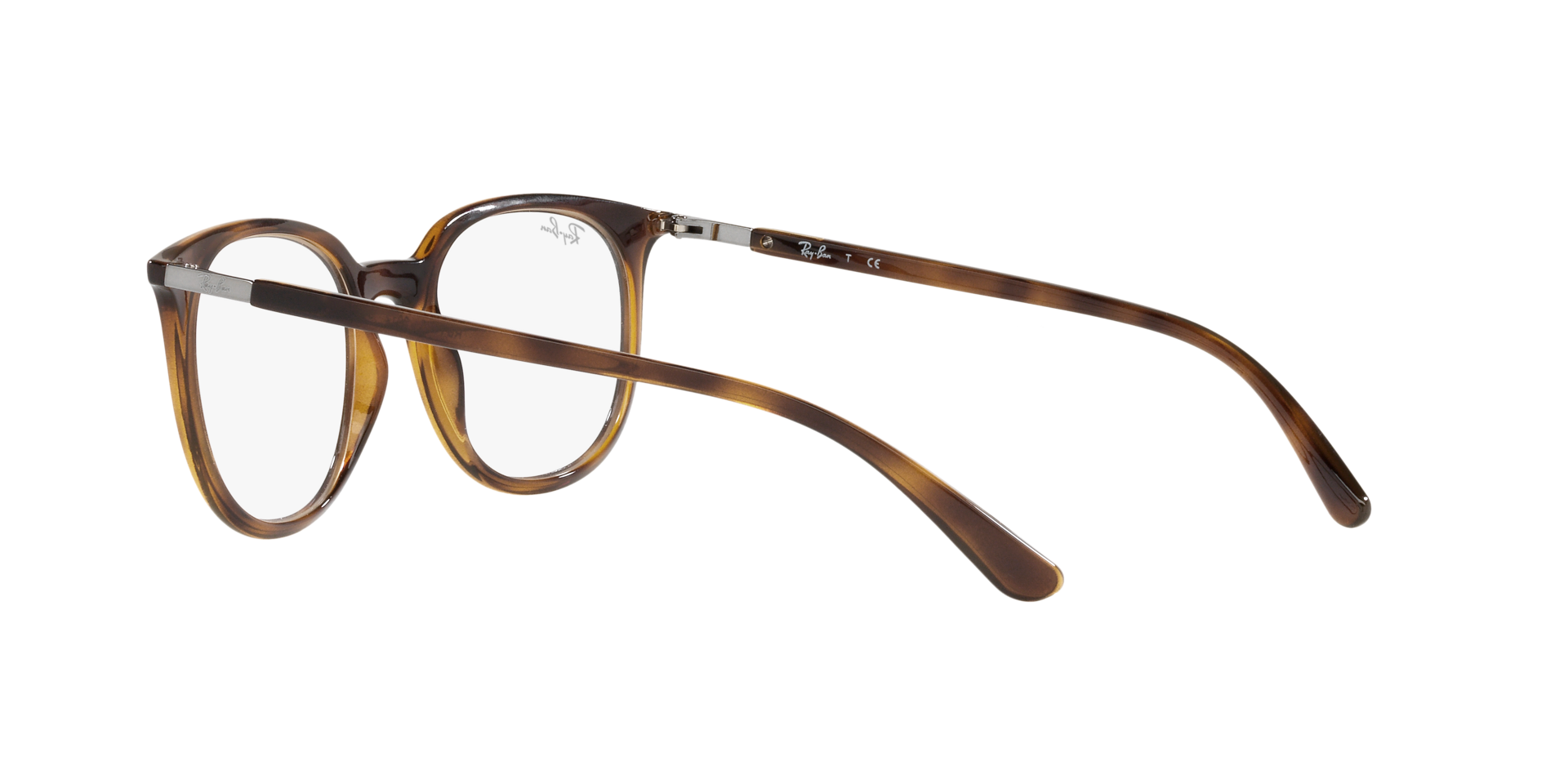 0RX7190_Tortoise-2012_5.png