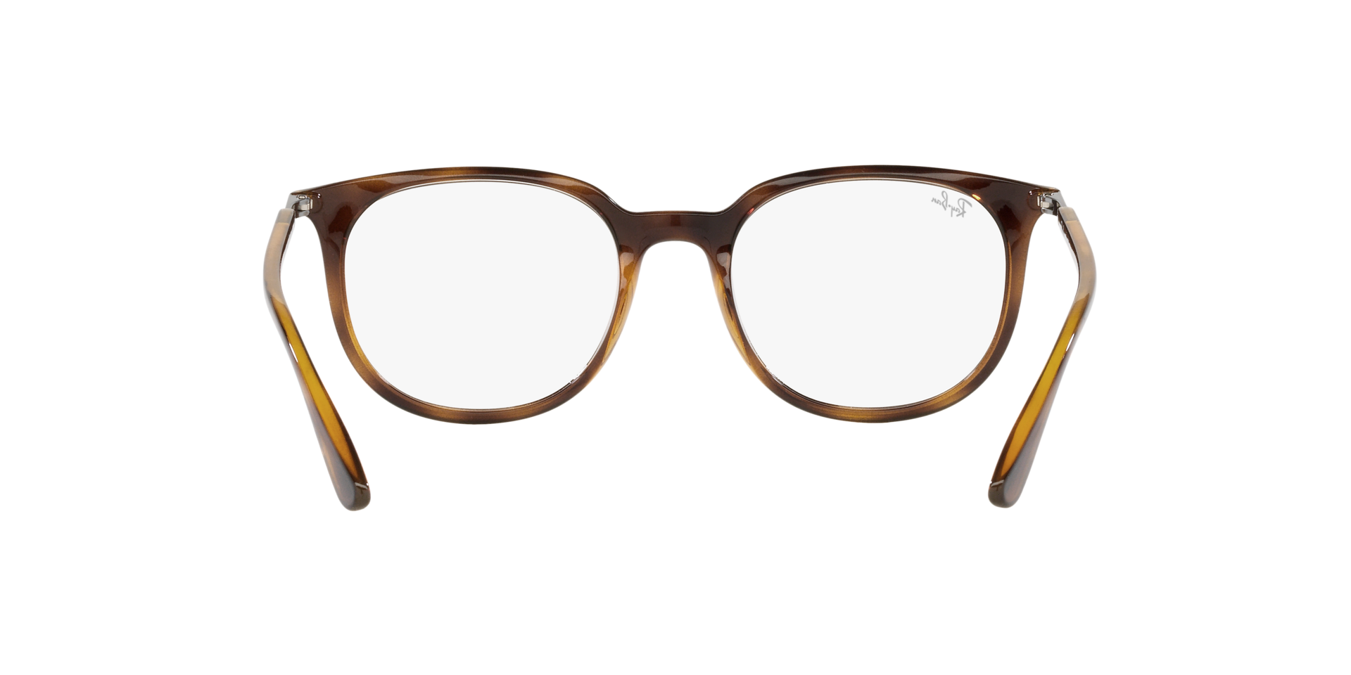 0RX7190_Tortoise-2012_7.png