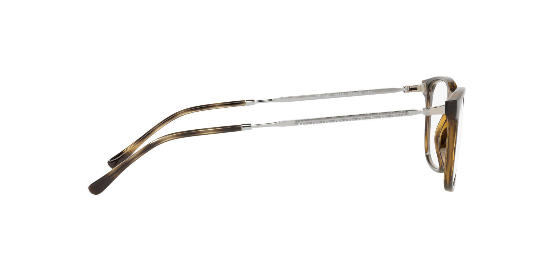 0RX7244_Tortoise-2012_10.png