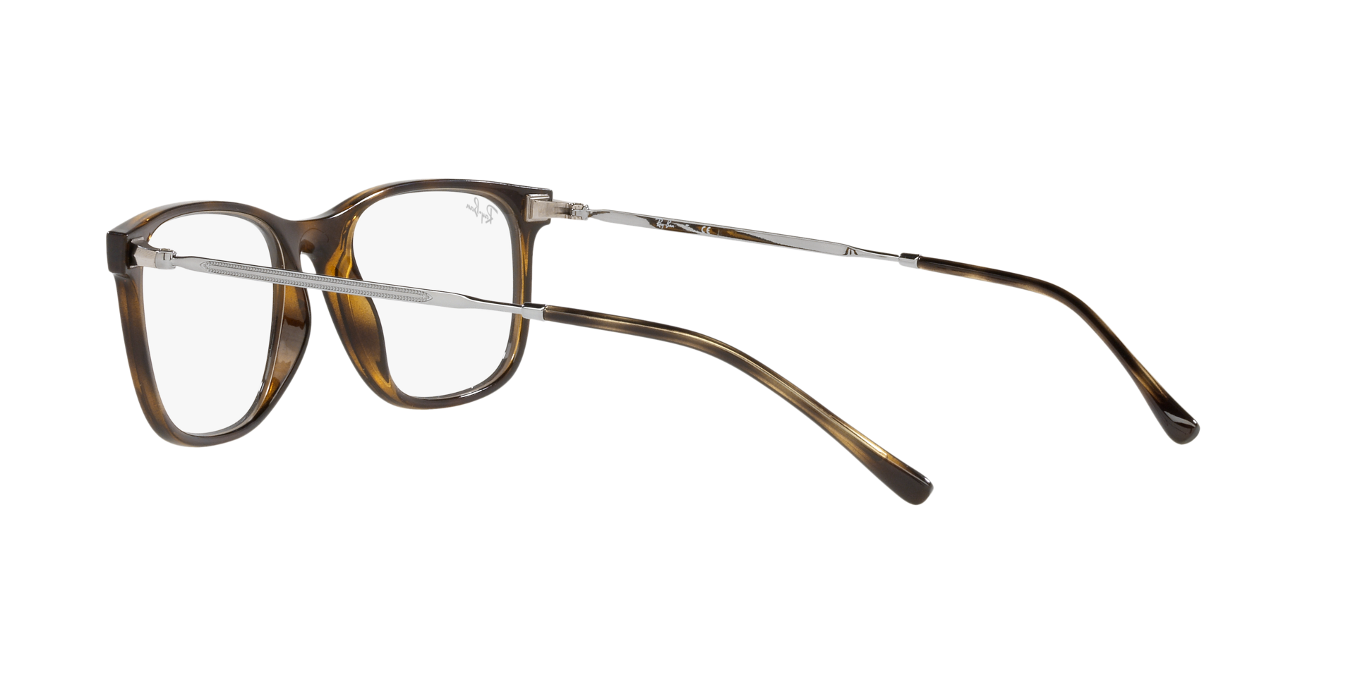 0RX7244_Tortoise-2012_5.png