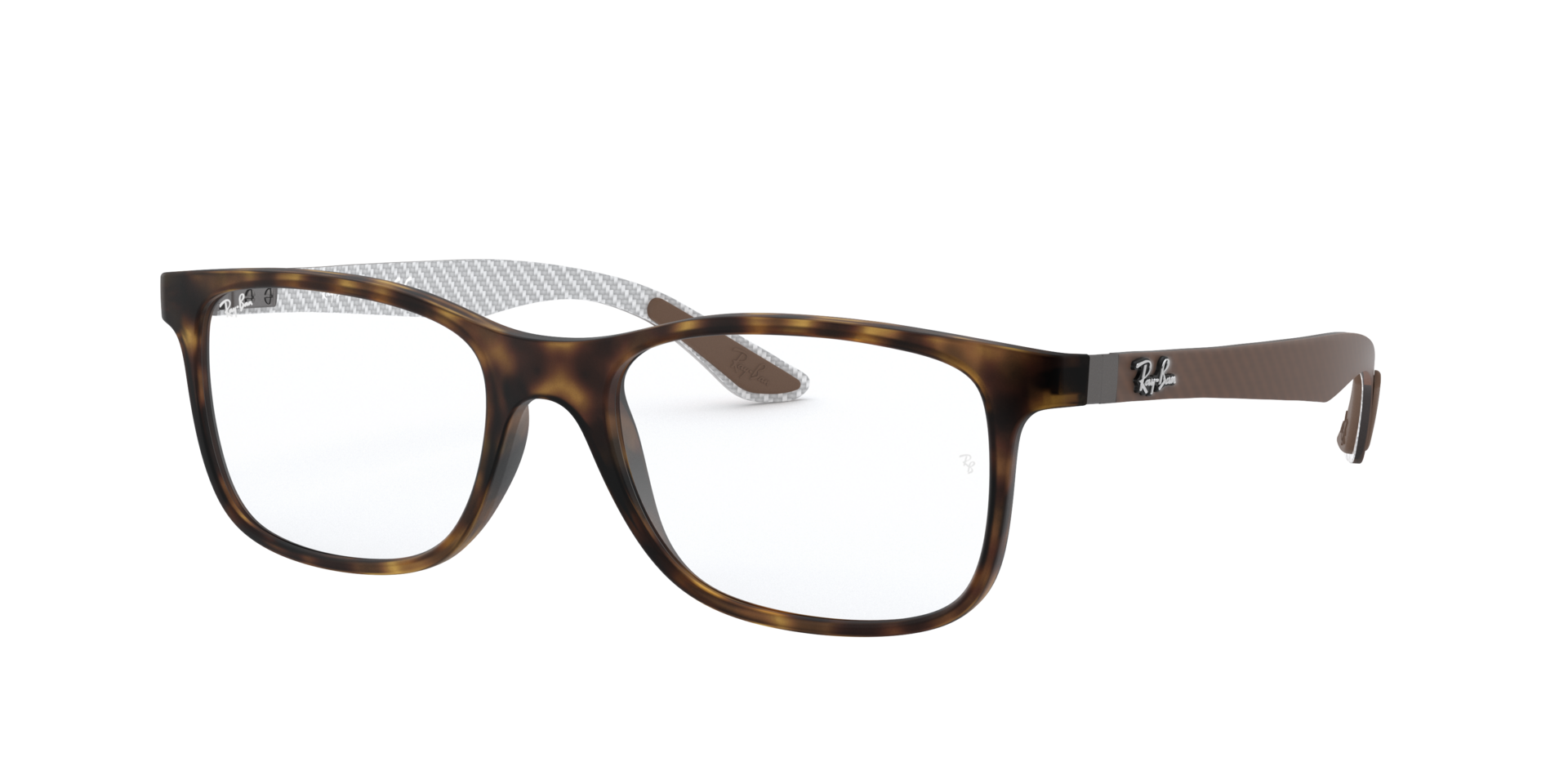 0RX8903_tortoise-5200