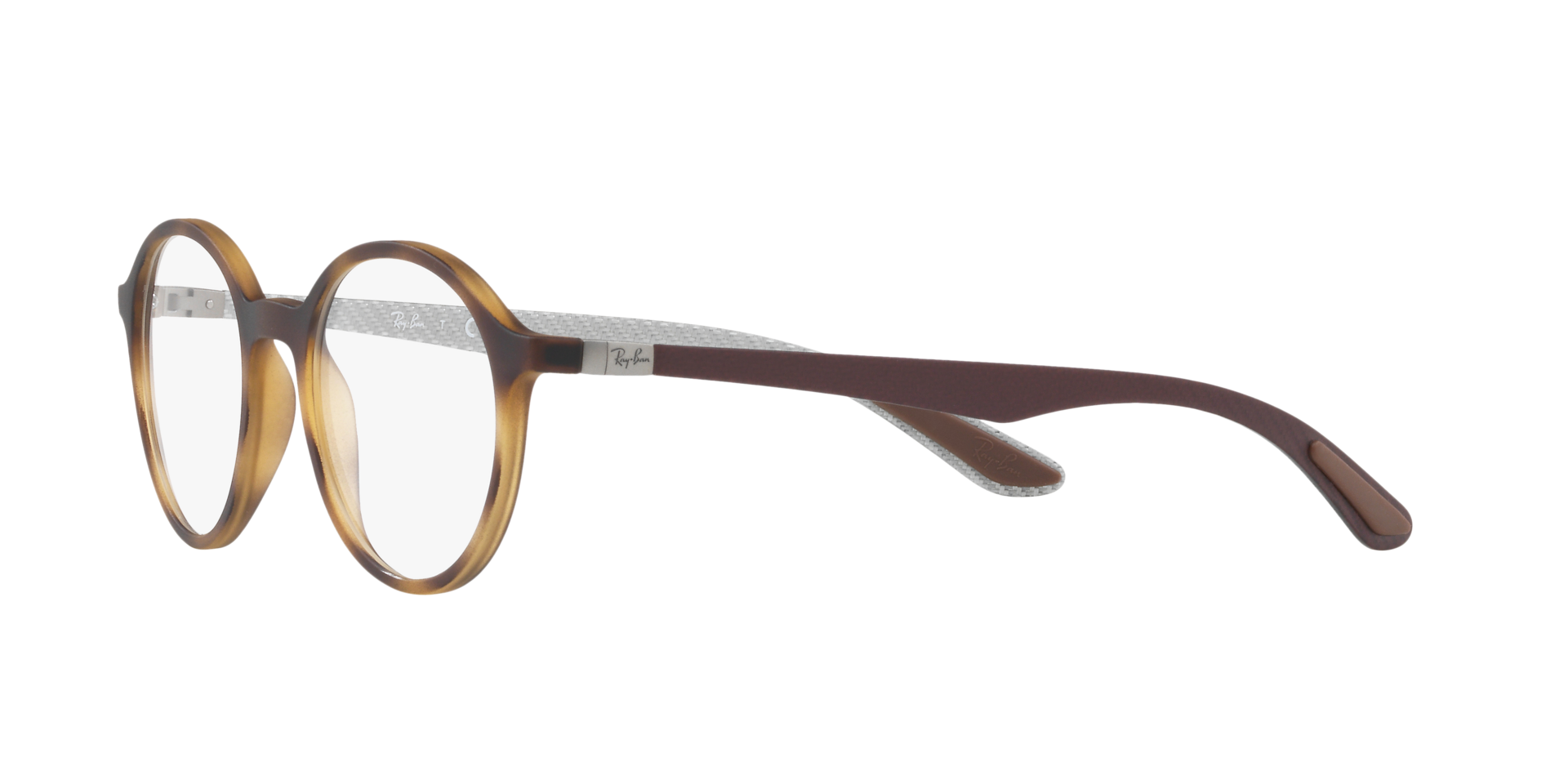 0RX8904_tortoise-5200_3.png