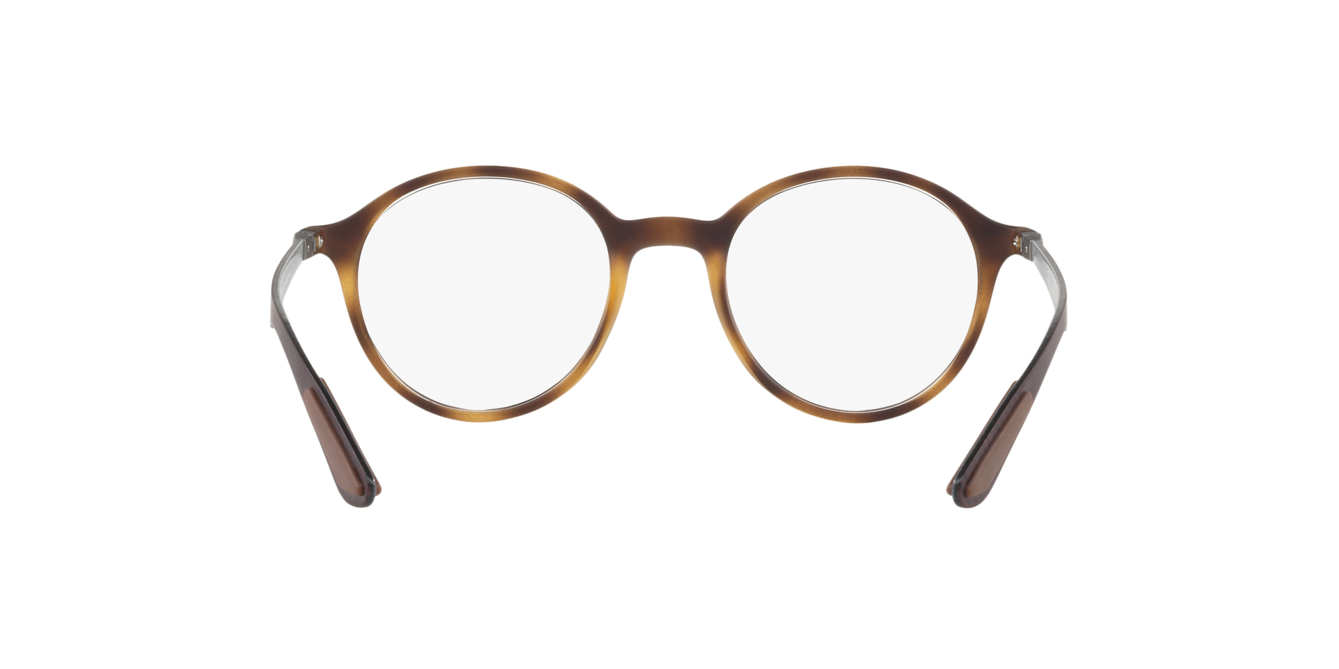 0RX8904_tortoise-5200_7.png