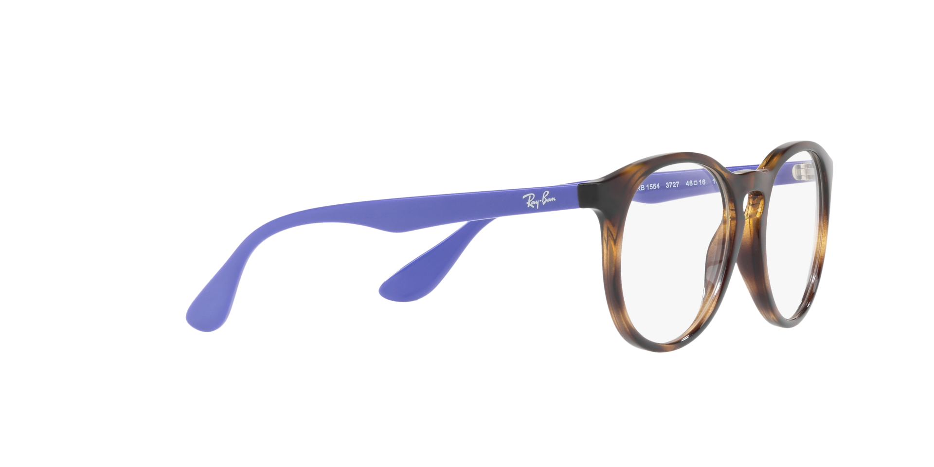 0RY1554_tortoise-3727_11.png