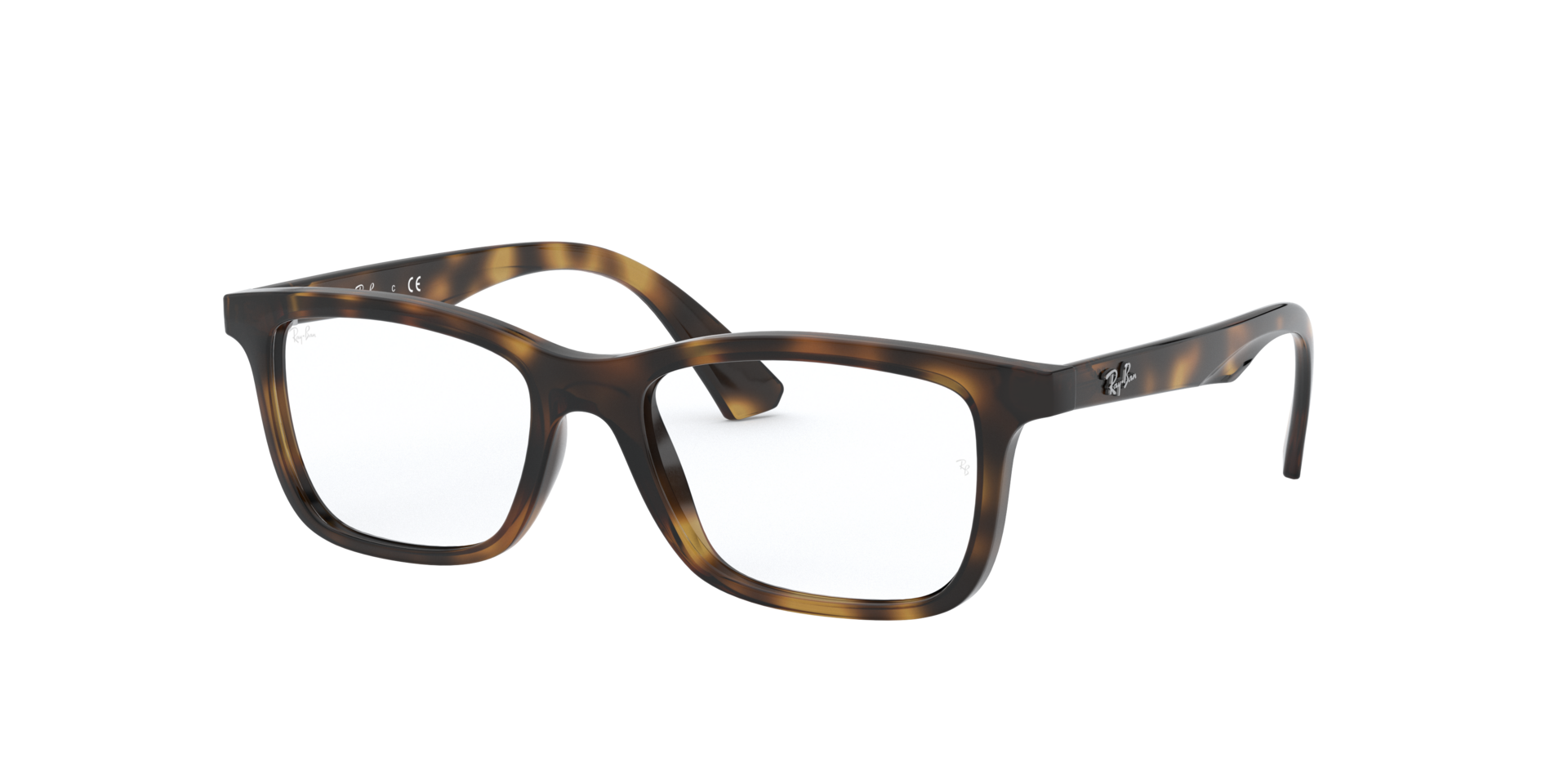 0RY1562_tortoise-3685