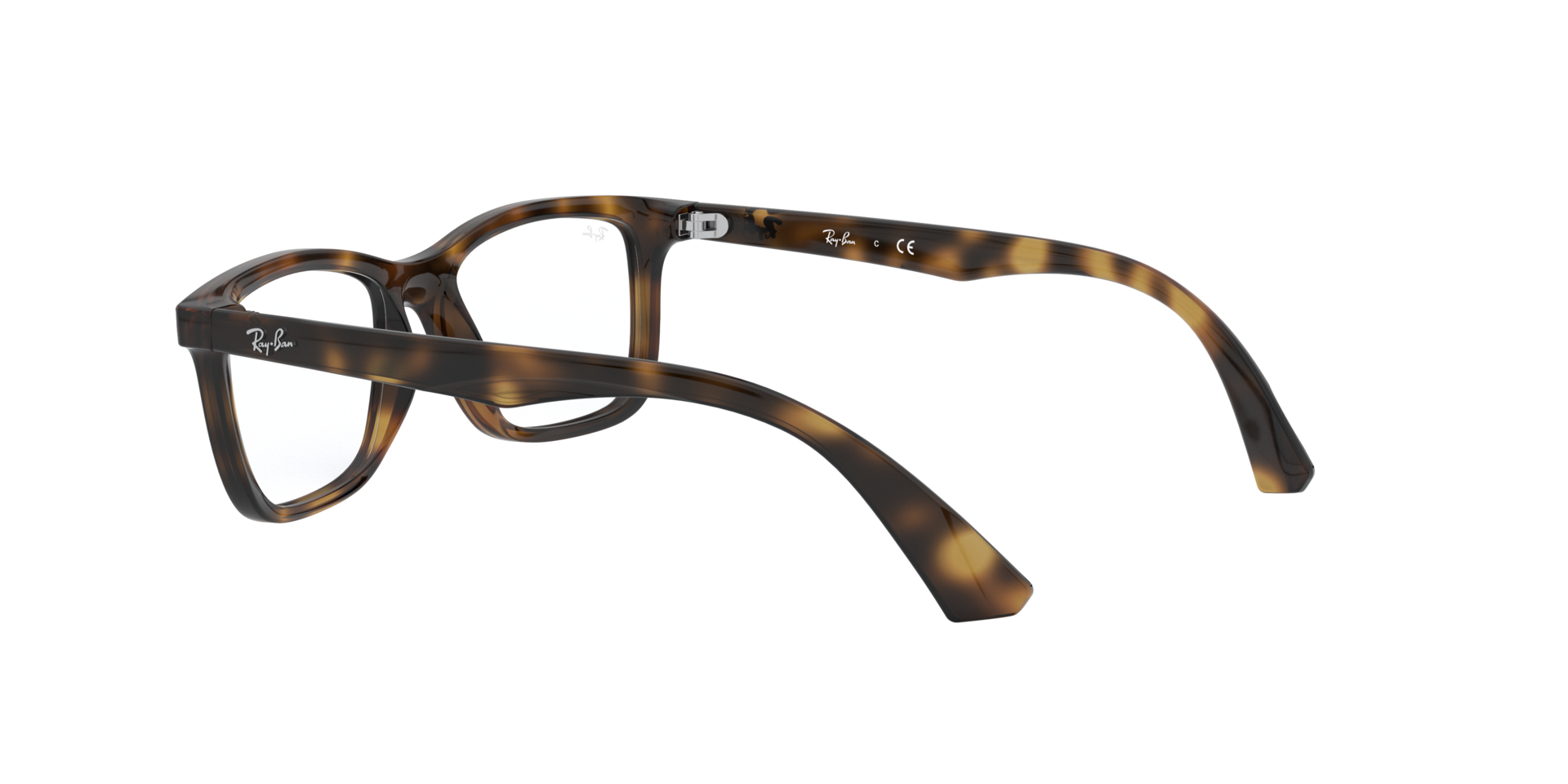 0RY1562_tortoise-3685_5.png