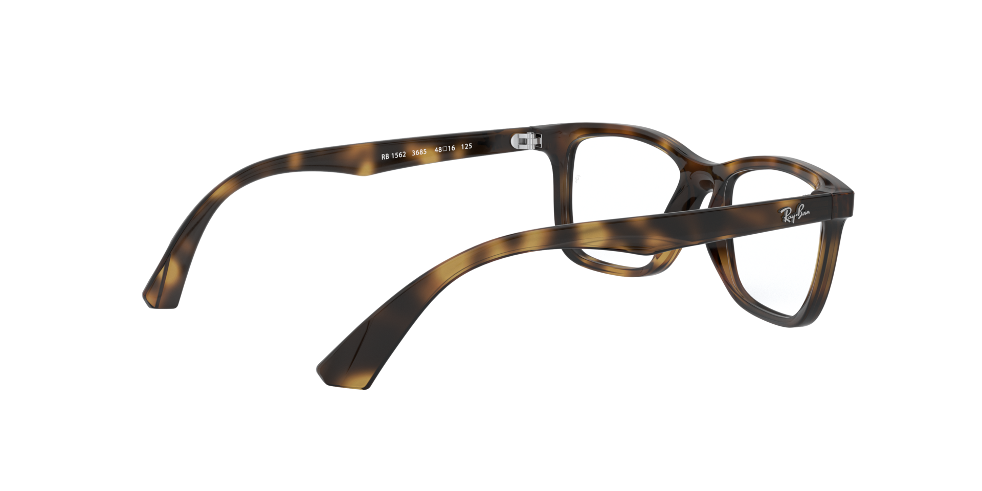 0RY1562_tortoise-3685_9.png