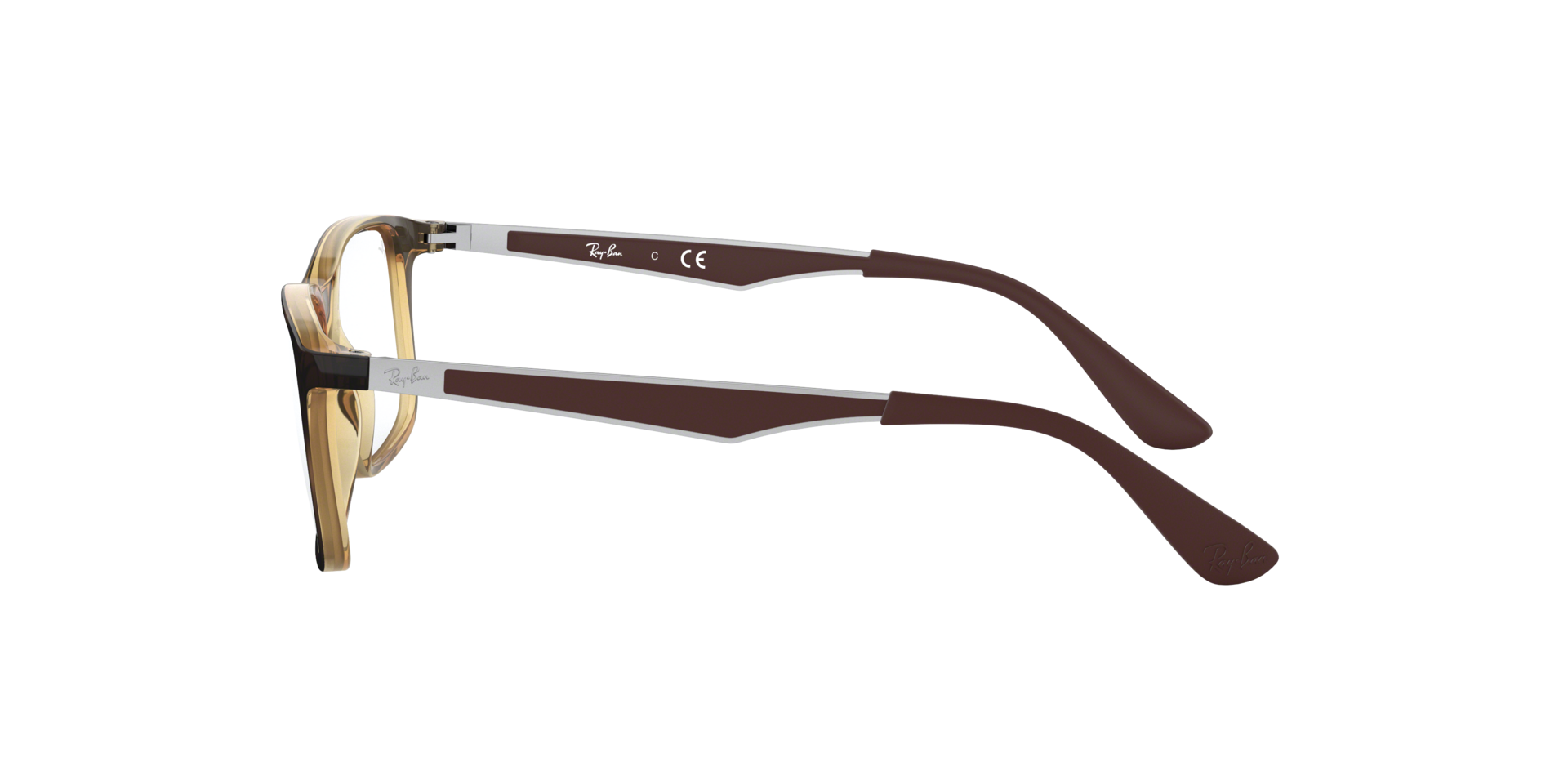 0RY1570_tortoise-3685_4.png