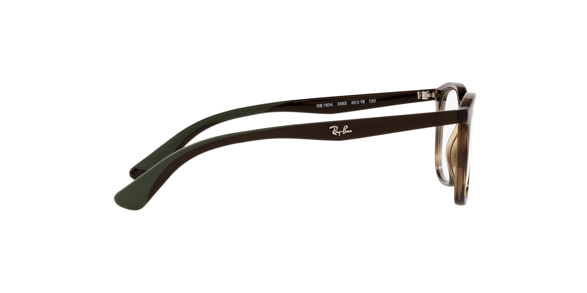 0RY1604_Tortoise-3863_10.png