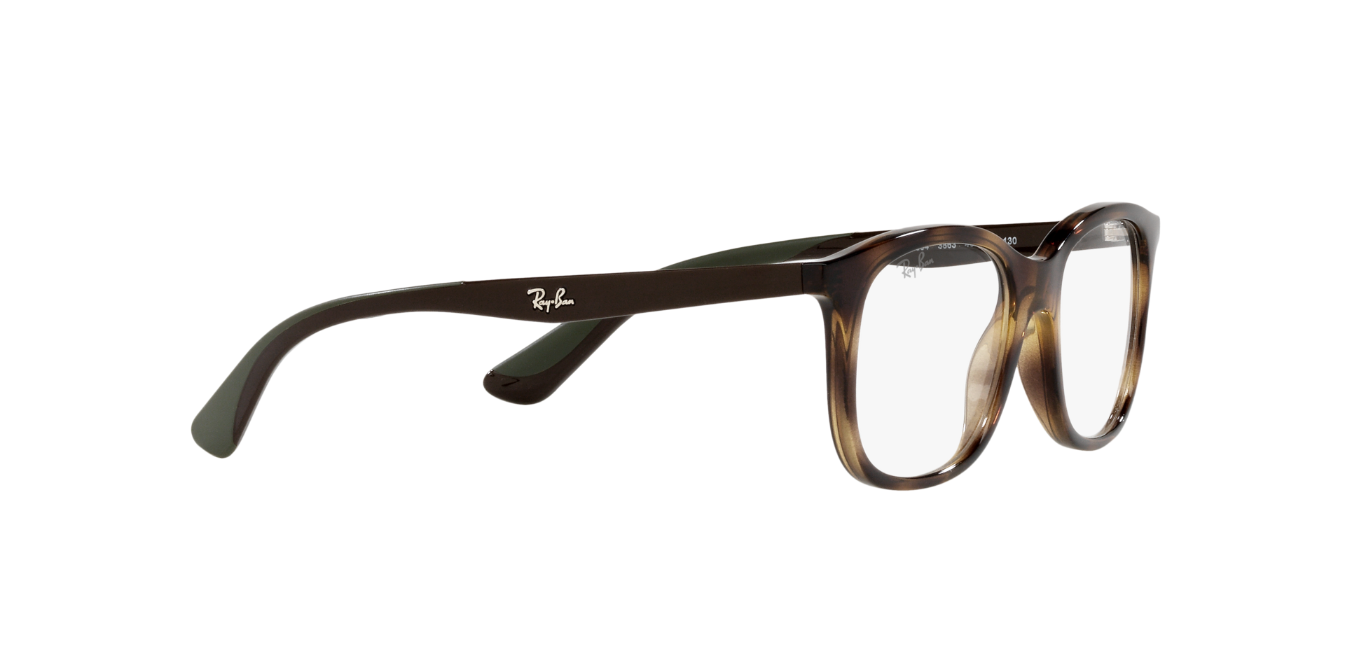 0RY1604_Tortoise-3863_11.png