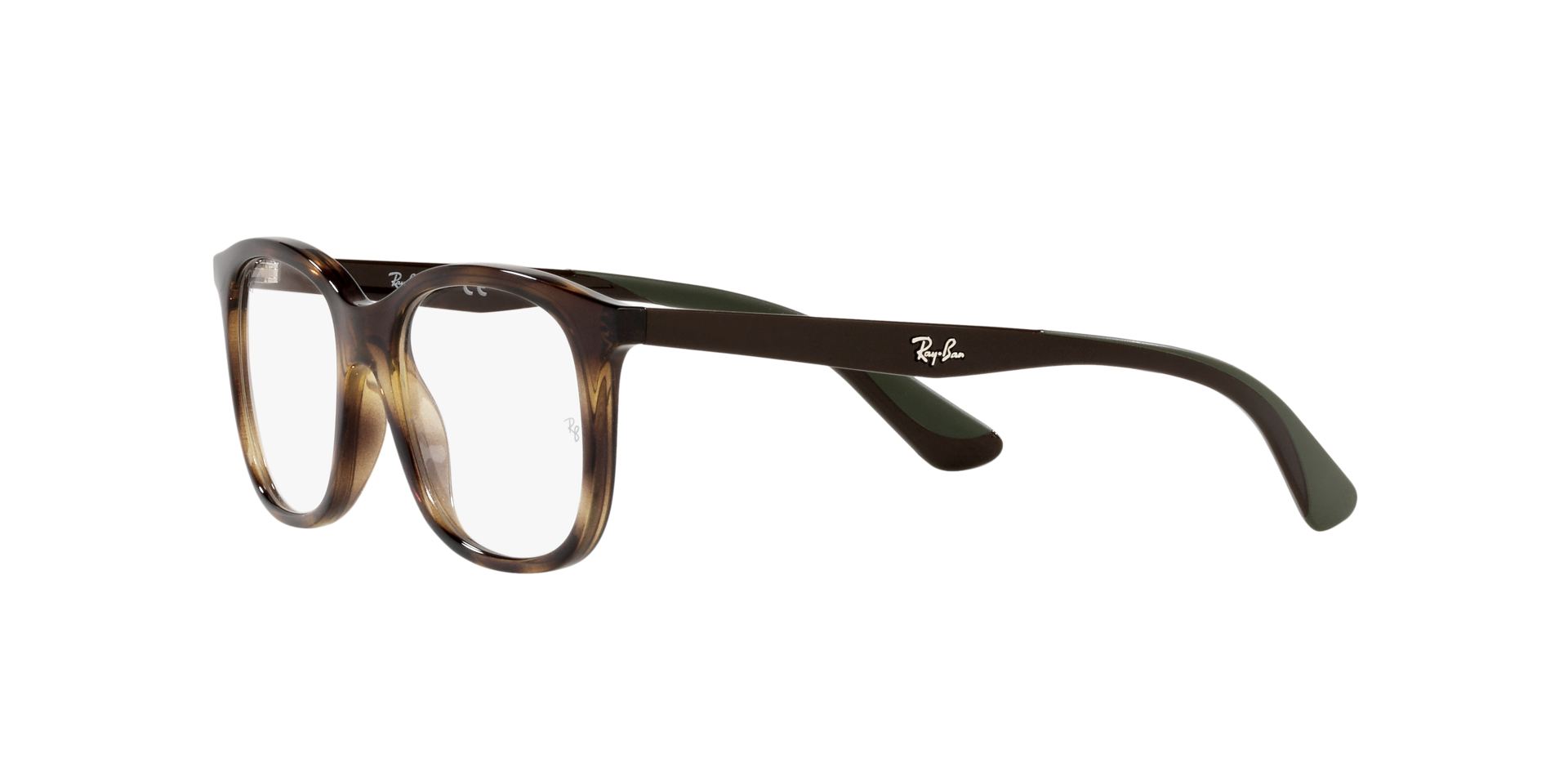 0RY1604_Tortoise-3863_3.png