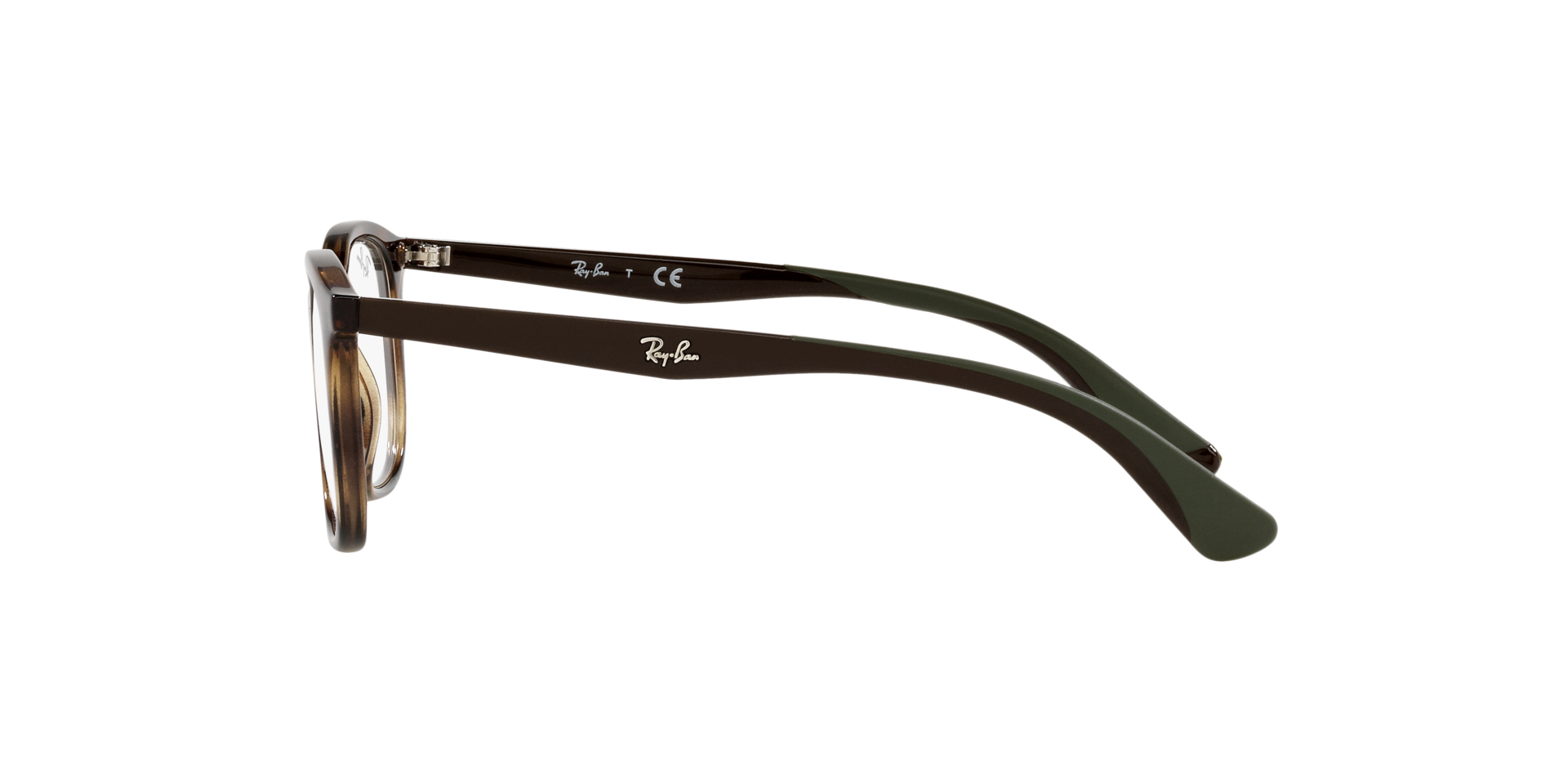 0RY1604_Tortoise-3863_4.png