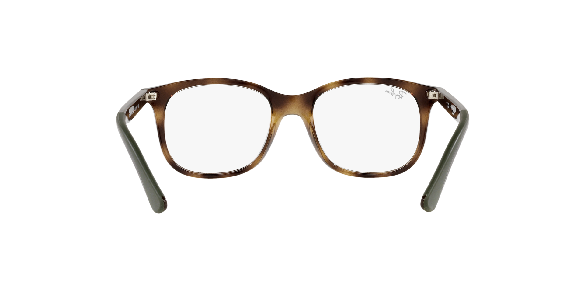 0RY1604_Tortoise-3863_7.png