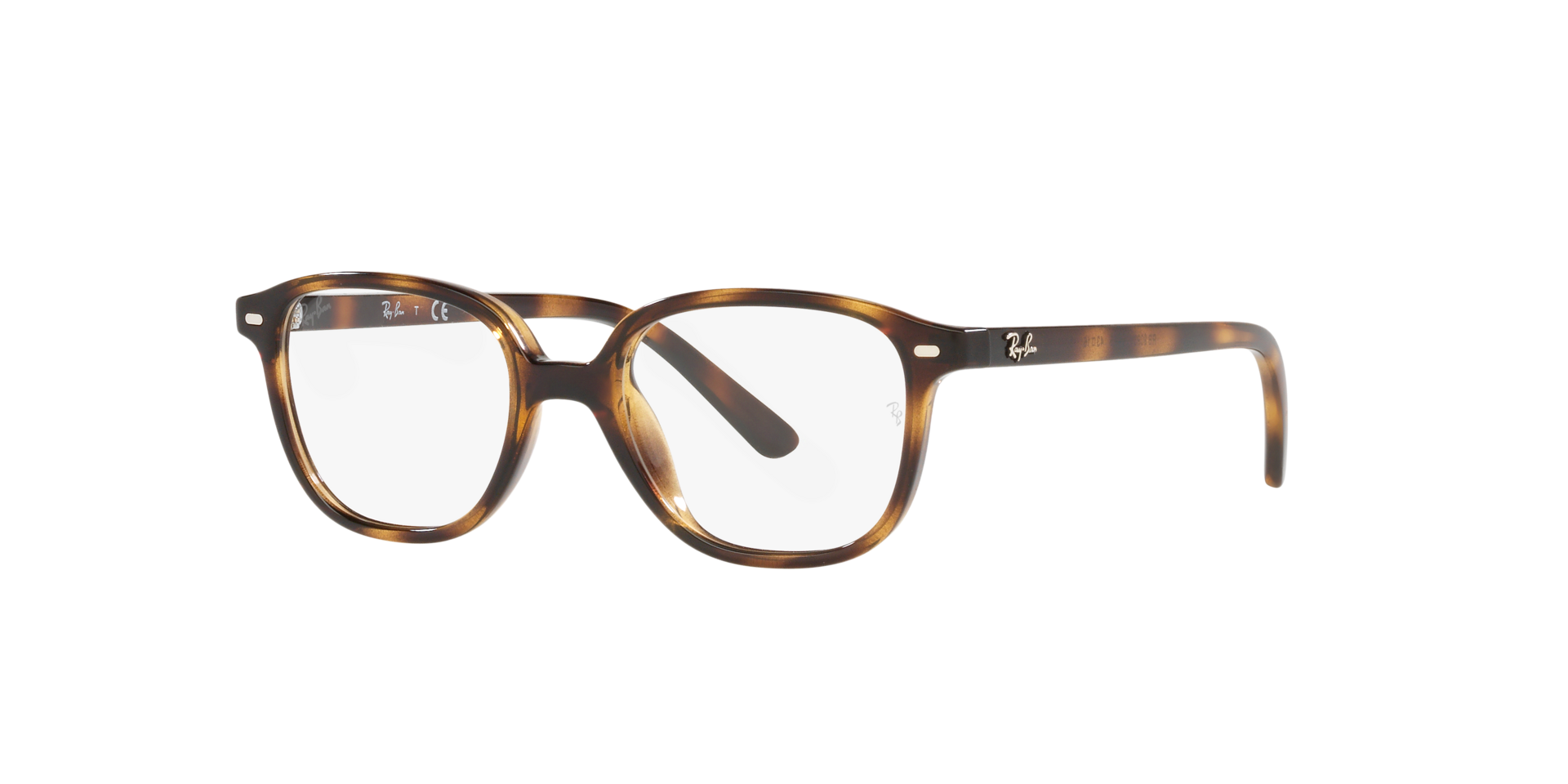 0RY9093V368543_tortoise