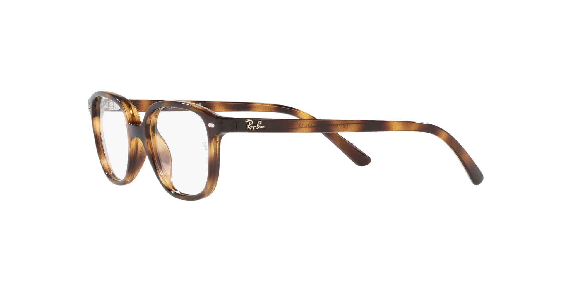 0RY9093V368543_tortoise_3.png
