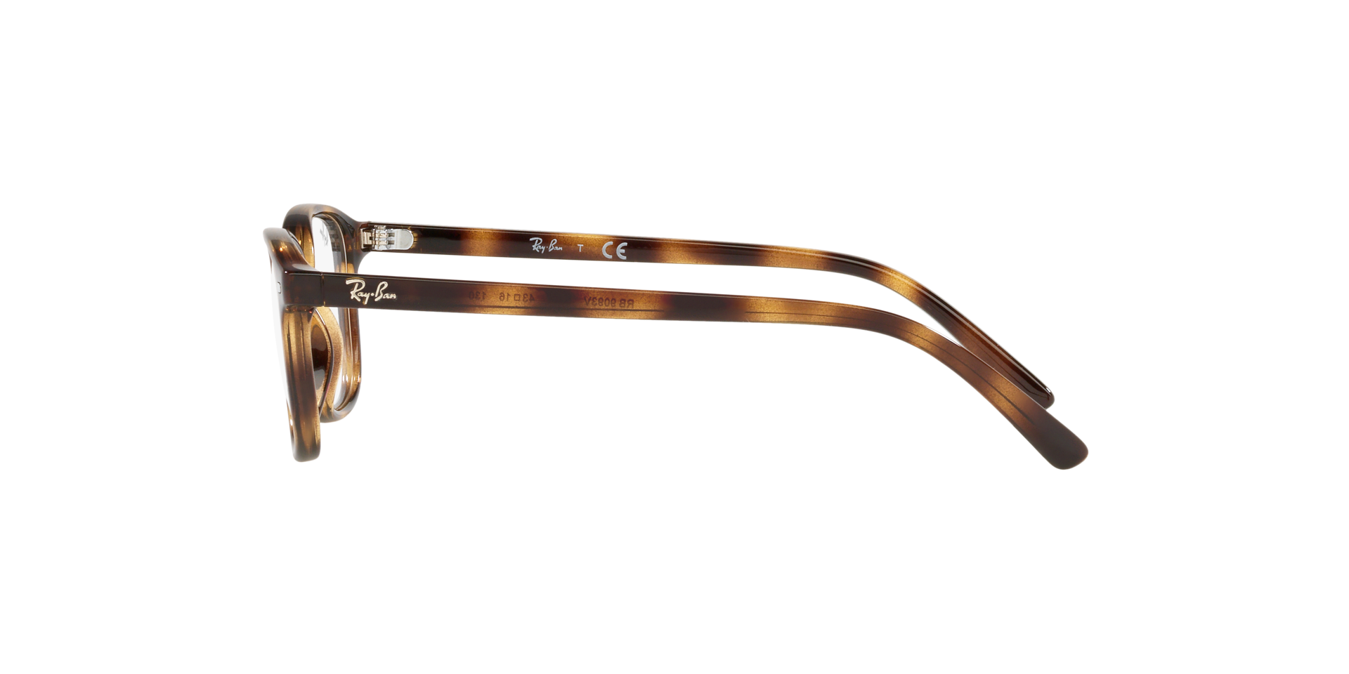 0RY9093V368543_tortoise_4.png