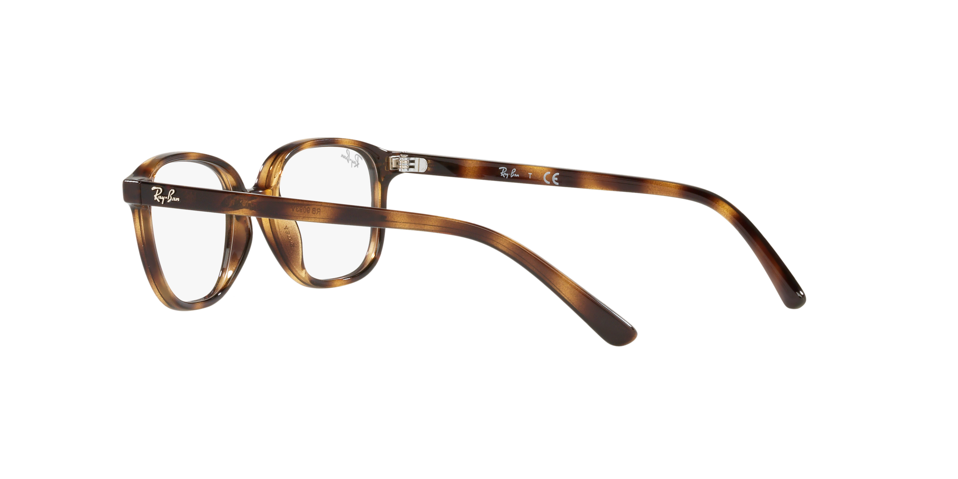 0RY9093V368543_tortoise_5.png